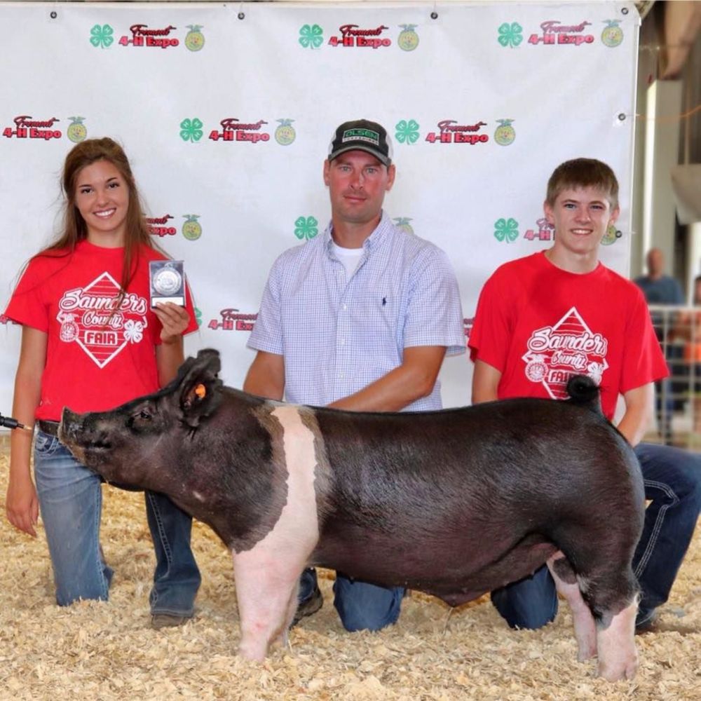 Meet your Posher, Bryn